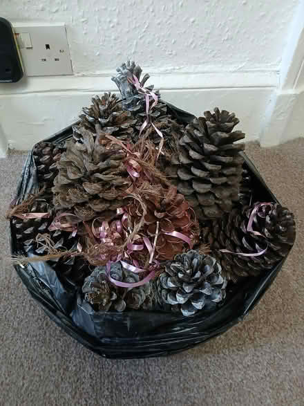 Photo of free Xmas Fur Cones (Lark Lane Area L17) #1