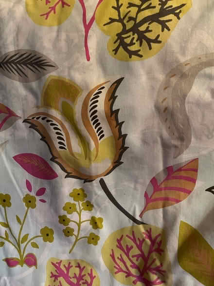 Photo of free Thermal lined curtains (Pulborough) #1
