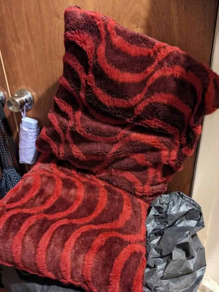 Photo of free Cushions (EH7 6EE) #1