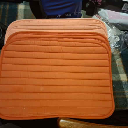 Photo of free 5 place mats (AB16) #1