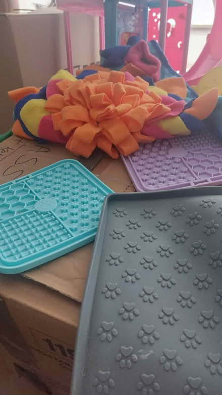 Photo of free Dog beds n toys (D15) #1