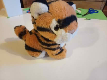 Photo of free Soft toy tiger (Askham CA10) #1
