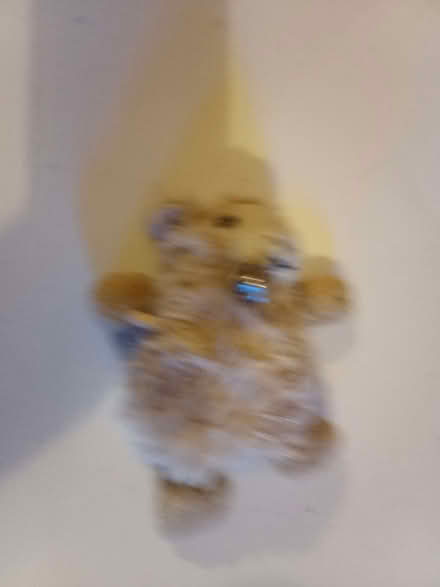 Photo of free Soft toys (Askham CA10) #1
