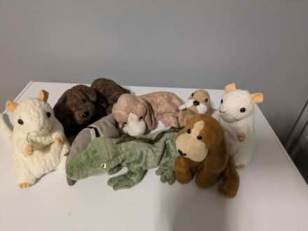 Photo of free Teddies (MK45) #4