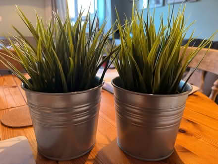 Photo of free Faux grass plants in silver pots (Maidstone ME16) #1