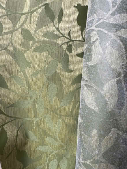 Photo of free Green leaf upholstery fabric (La Canada Flintridge) #1