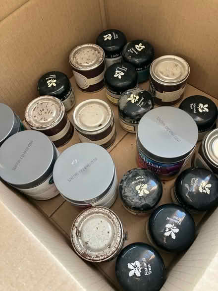 Photo of free Paint samples (B13 Moseley) #1