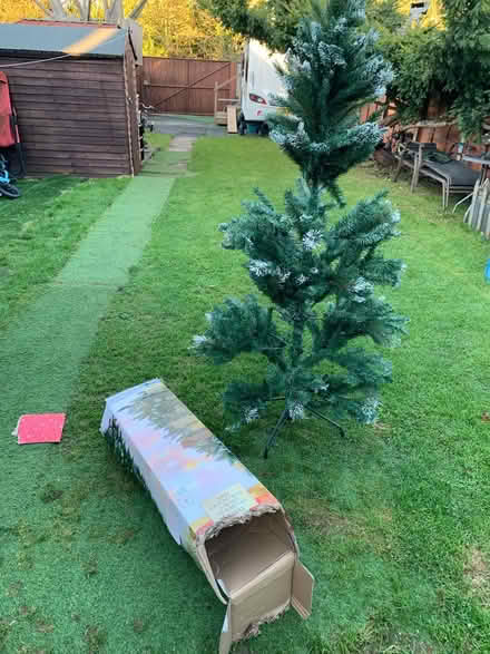 Photo of free 6ft Christmas tree (ME15) #1