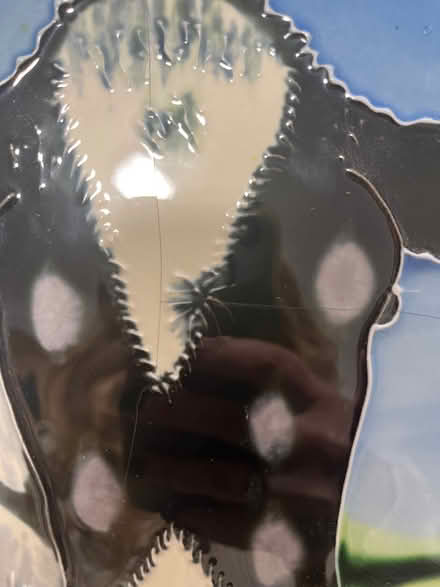 Photo of free Cow tile art (Does have cracks) (Wokingham RG40) #2