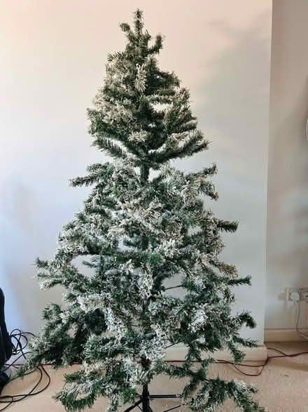 Photo of free Snowy Christmas Tree (Highworth SN6) #1