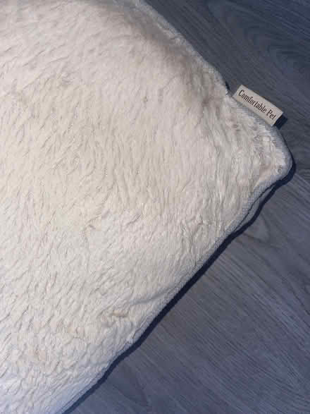 Photo of free Pet bed (W13) #3