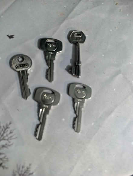 Photo of free Old keys (perfect for Santa keys) (CO11) #1