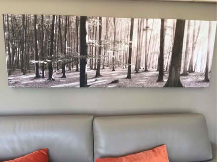 Photo of free Wall Picture (Woodmancote GL52) #1