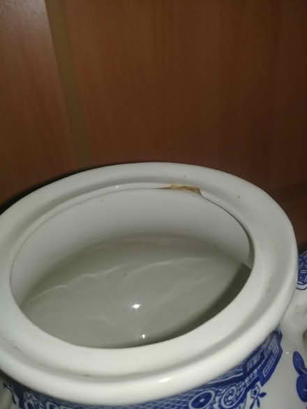 Photo of free Large blue/white teapot (Nr South Norwood Lakes SE19) #2