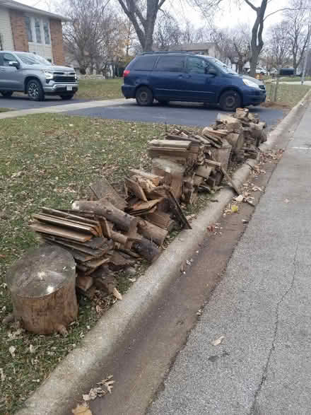 Photo of free Fire Wood Curb Alert (Bolingbrook, near Menards) #2