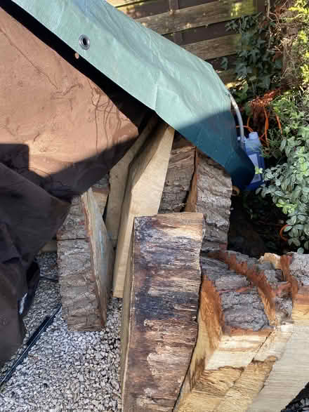 Photo of free oak wood (Esher KT10) #1