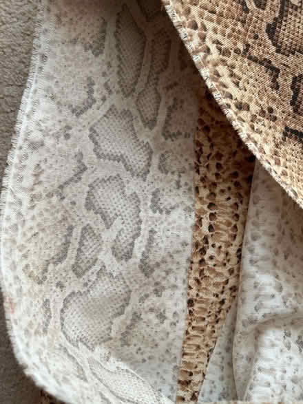 Photo of free Snake pattern material (Merstham RH1) #3