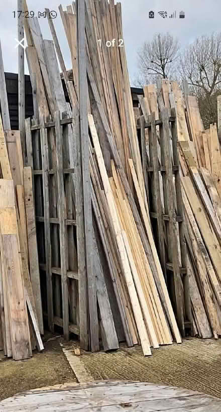 Photo of Wood for plant stakes (Kidlington OX5) #1
