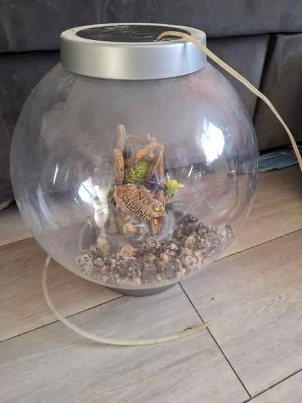 Photo of free Fish tank (Croydon CR2) #1