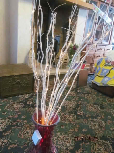 Photo of free Red Vase & Twig Lights (didsbury M20) #2