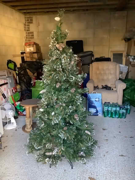 Photo of free Christmas tree (BN16 /DQ) #1