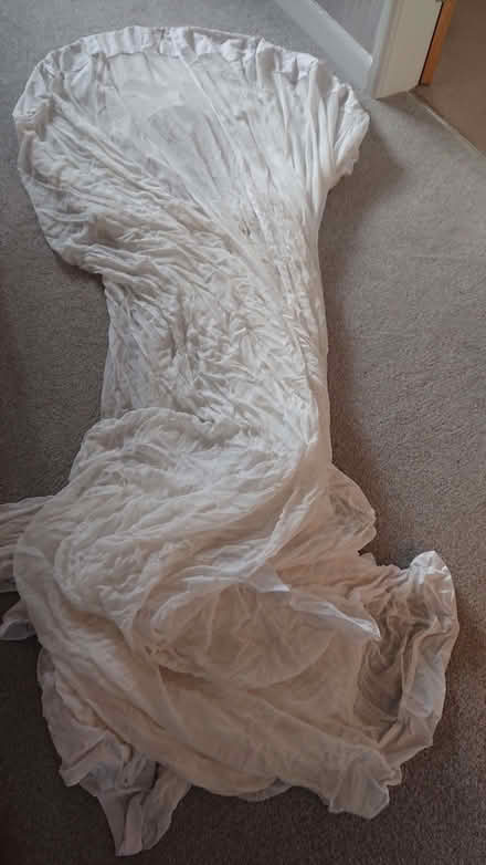 Photo of free Bamboo net (Lostock Hall PR5) #3