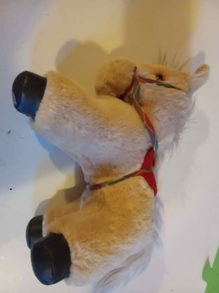 Photo of free Toy horse (Askham CA10) #1