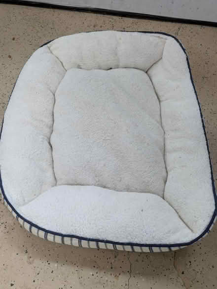 Photo of free Small dog bed (Cupertino Public Library) #2