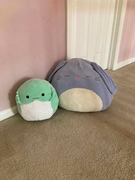 Photo of free Original Squishmallows (Newark, DE) #1