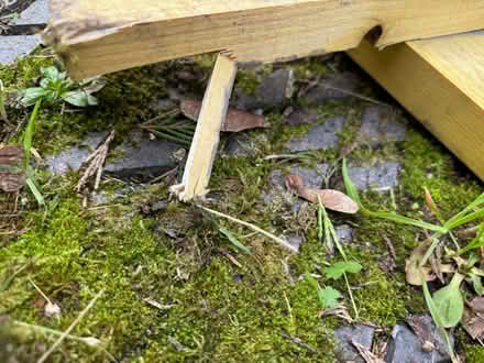 Photo of free Lengths of wood, (2 inches by one inch) (Allerton L18) #3