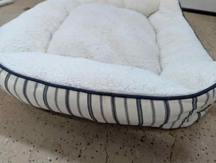 Photo of free Small dog bed (Cupertino Public Library) #1