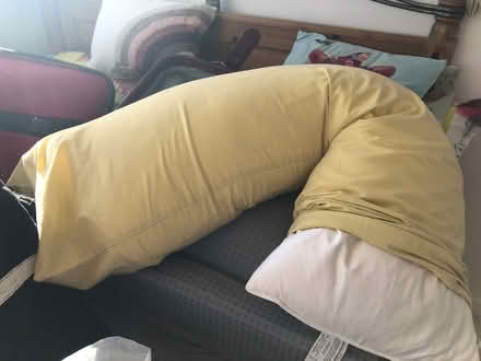 Photo of free Support pillow (Aylestone LE2) #2