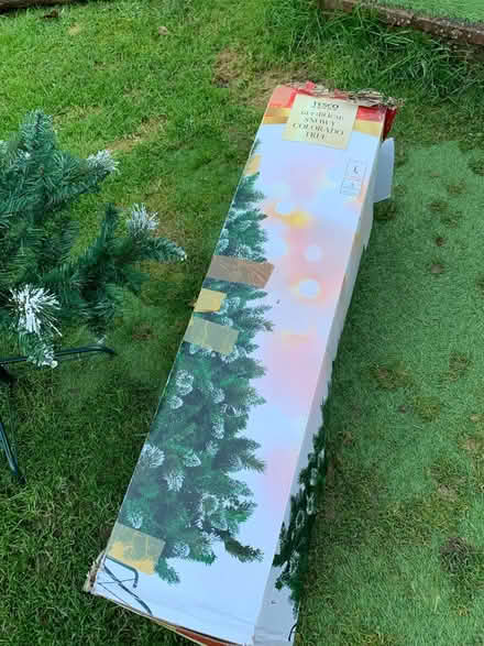 Photo of free 6ft Christmas tree (ME15) #2