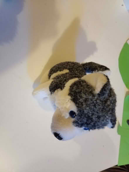 Photo of free Soft toys (Askham CA10) #2