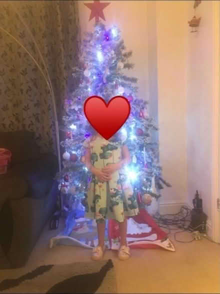 Photo of free Snowy Christmas Tree (Highworth SN6) #3