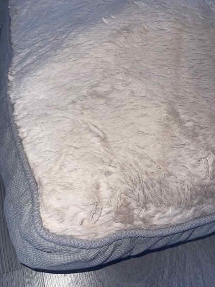 Photo of free Pet bed (W13) #4