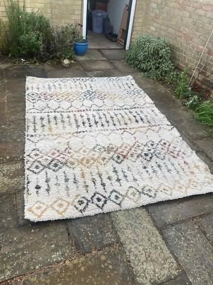 Photo of free Rug (Coton CB23) #1