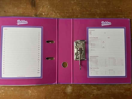 Photo of free Lever file (BT6) #2