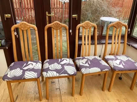 Photo of free Dining Room Chairs (East Kilbride G74) #1