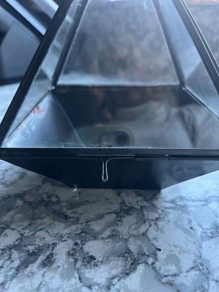Photo of free Small glass terrarium (Wokingham RG40) #4