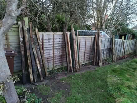 Photo of free Used Fencepost (Botley OX2) #1