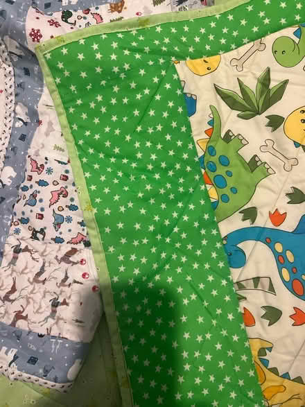 Photo of free Preloved play mat (West bromwich) #2