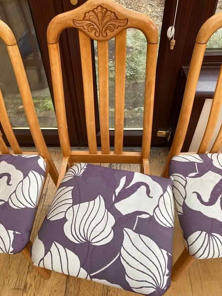 Photo of free Dining Room Chairs (East Kilbride G74) #2