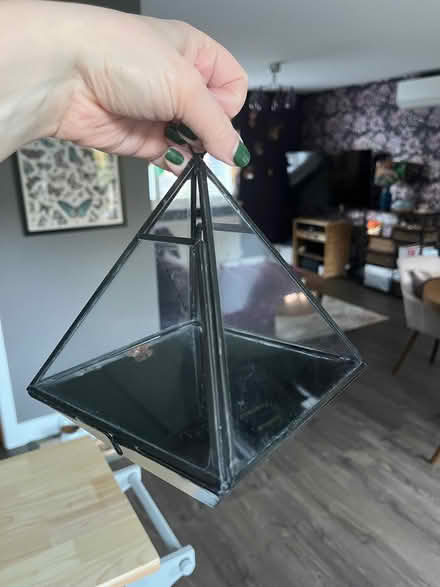 Photo of free Small glass terrarium (Wokingham RG40) #2