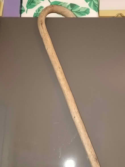 Photo of free Shepherds crook for nativity ? (Chigwell IG7) #1