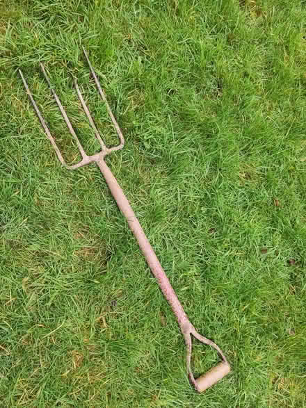 Photo of free a few garden bits (Threemilestone) #2