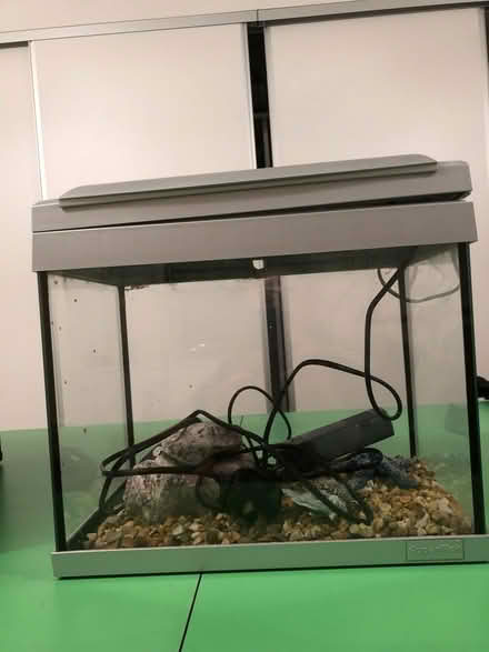 Photo of free Aquarium (CT10) #1