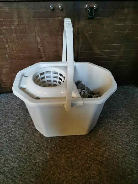 Photo of free Mop bucket + mop heads (South Bermondsey SE15) #1