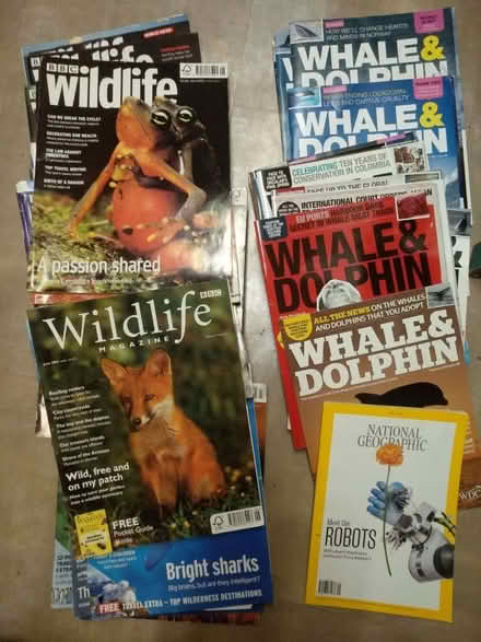 Photo of free bbc wildlife magazines (Upper Bangor LL57) #1