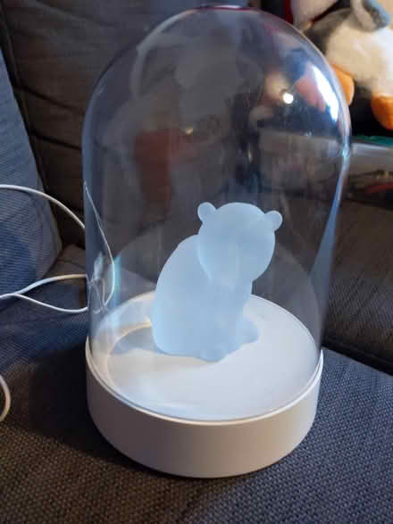 Photo of free Polar bear lamp (Pe19 6tg) #1